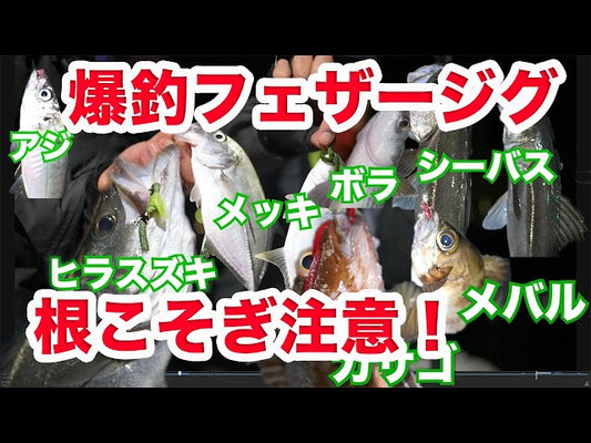 【YouTube】ヒラスズキも釣れる！！誰でも爆釣ソルトフェザージグ